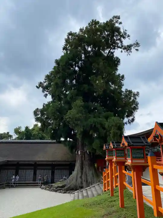 春日大社の自然