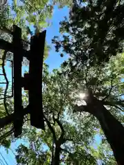 岩崎神社(長野県)