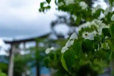 越中一宮 髙瀬神社(富山県)