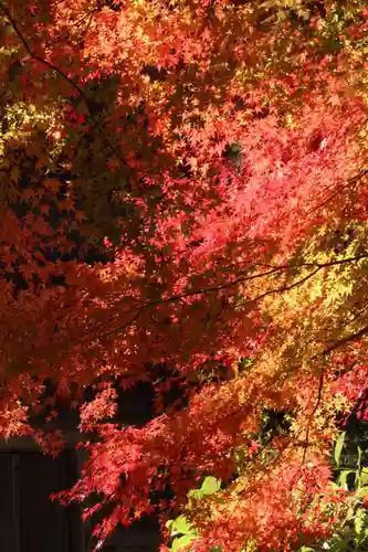 国宝 大法寺の自然