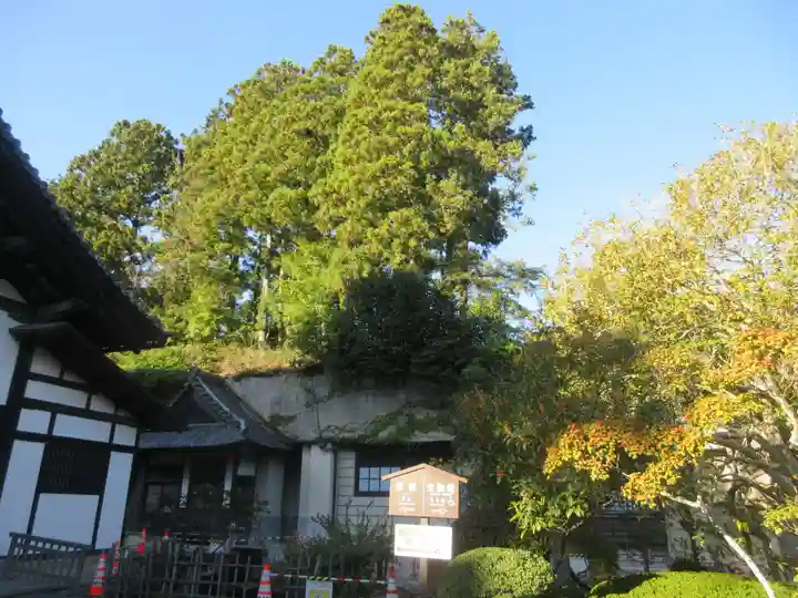 瑞巌寺(宮城県)