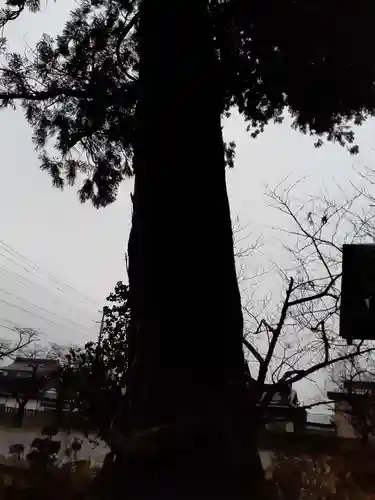 八坂神社(岩手県)