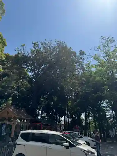 大宮・大原神社(千葉県)