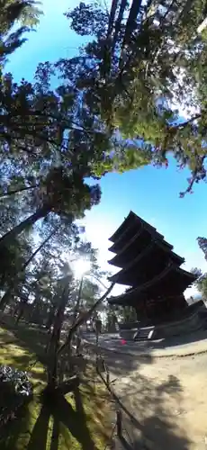 仁和寺のその他建物