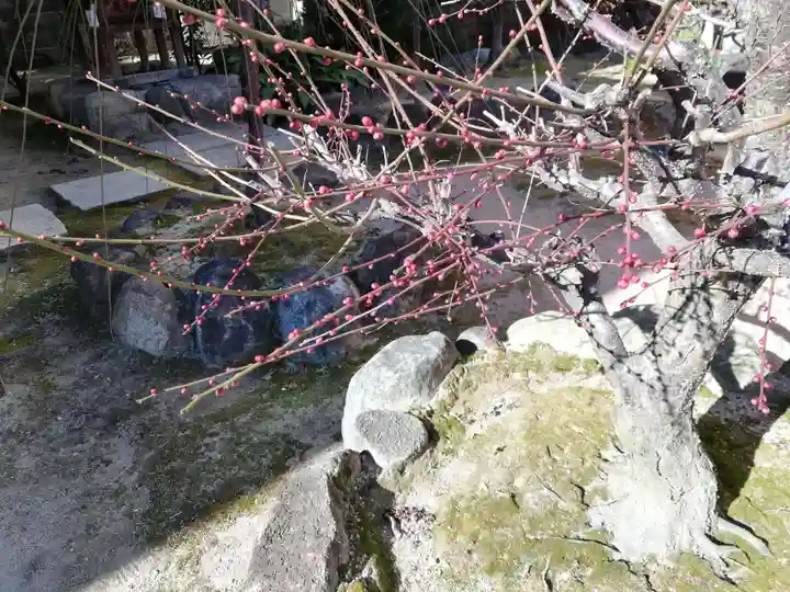 大阪天満宮の自然