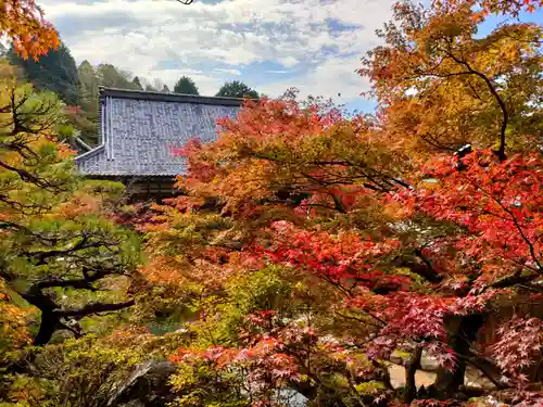 百済寺の庭園