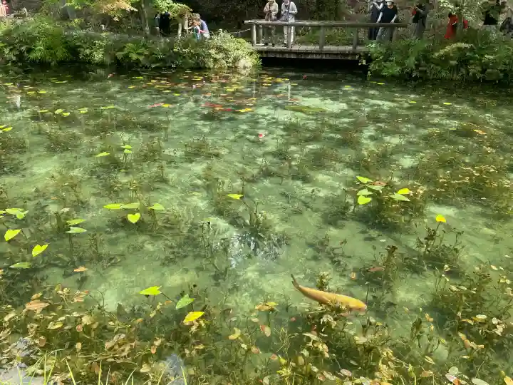 根道神社の{uncategorized: "未分類", other: "その他", undefined: "問題あり", building: "その他建物", grave: "お墓", sacred_gate: "鳥居", guardian: "狛犬", statue: "像", buddha: "仏像", history: "歴史", nature: "自然", garden: "庭園", animal: "動物", pagoda: "塔", temizu: "手水舎", mountain_gate: "山門・神門", sanctuary: "本殿・本堂", subordinate: "末社・摂社", art: "芸術", scenery: "景色", jizo: "地蔵", ema: "絵馬", goshuin: "御朱印", omikuji: "おみくじ", items: "授与品その他", amulet: "お守り", goshuincho: "御朱印帳", eats: "食事", festival: "お祭り", votive_dance: "神楽", shichigosan: "七五三参", wedding: "結婚式", experience: "体験その他", initially: "初詣", around: "周辺", anti_infection: "感染症対策"}