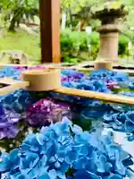 土津神社|こどもと出世の神さまの手水舎