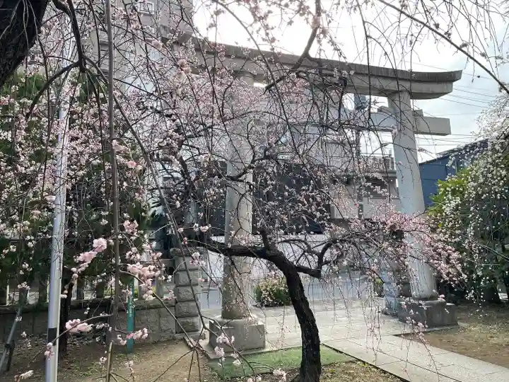 川口神社(埼玉県)