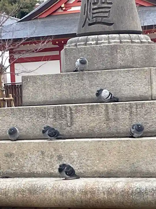 土佐稲荷神社の動物
