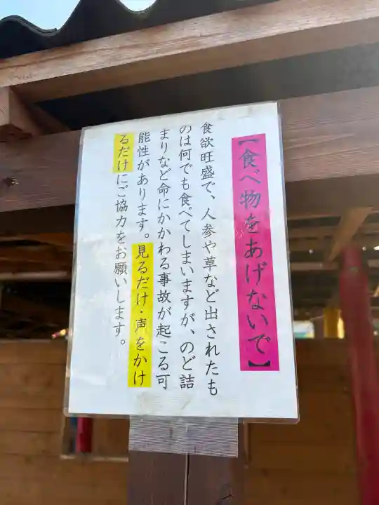 五方山熊野神社の{uncategorized: "未分類", other: "その他", undefined: "問題あり", building: "その他建物", grave: "お墓", sacred_gate: "鳥居", guardian: "狛犬", statue: "像", buddha: "仏像", history: "歴史", nature: "自然", garden: "庭園", animal: "動物", pagoda: "塔", temizu: "手水舎", mountain_gate: "山門・神門", sanctuary: "本殿・本堂", subordinate: "末社・摂社", art: "芸術", scenery: "景色", jizo: "地蔵", ema: "絵馬", goshuin: "御朱印", omikuji: "おみくじ", items: "授与品その他", amulet: "お守り", goshuincho: "御朱印帳", eats: "食事", festival: "お祭り", votive_dance: "神楽", shichigosan: "七五三参", wedding: "結婚式", experience: "体験その他", initially: "初詣", around: "周辺", anti_infection: "感染症対策"}