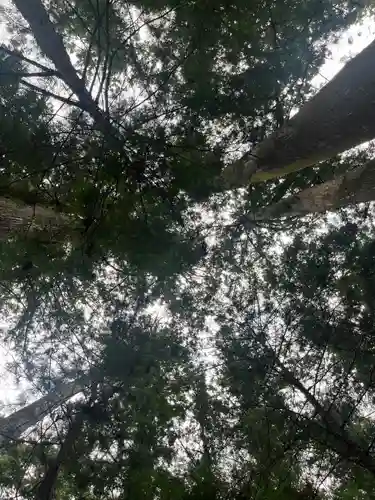 小國神社の自然