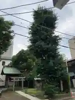 恵比寿神社のその他建物