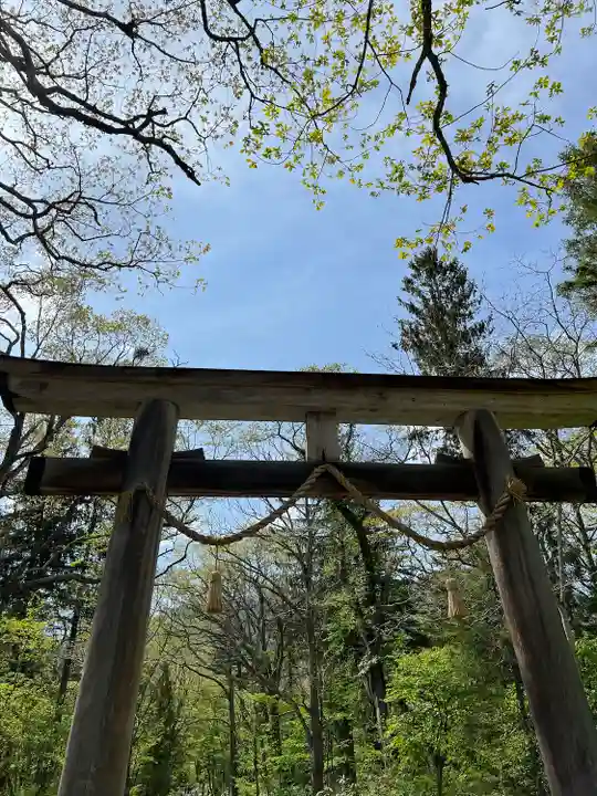 戸隠神社奥社(長野県)