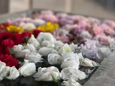 糀谷八幡宮の手水舎