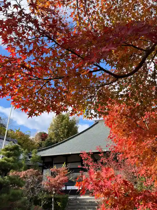 神應寺(京都府)