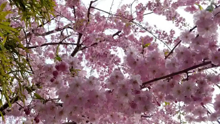 石像寺(釘抜地蔵)の景色