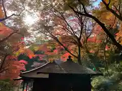 普門寺(切り絵御朱印発祥の寺)の建物その他