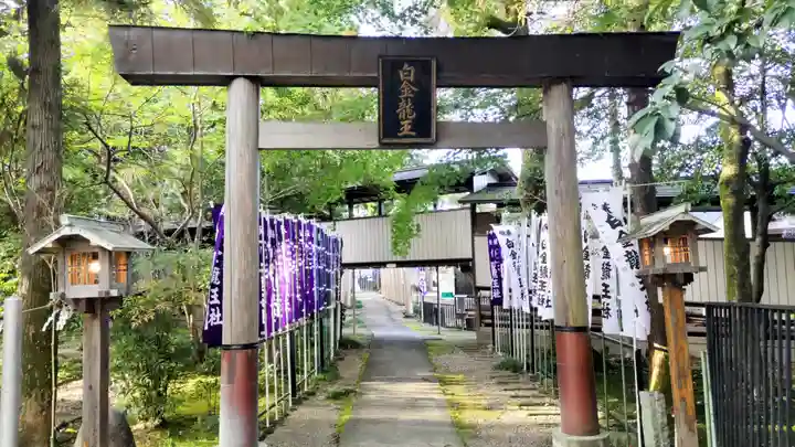 白金龍王社(愛知県)