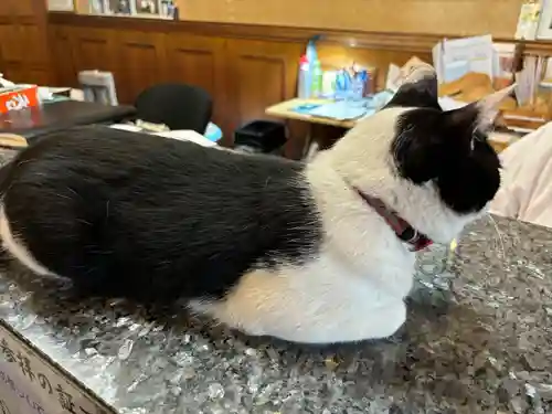 榛名神社(群馬県)