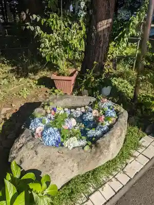 発寒神社の手水舎