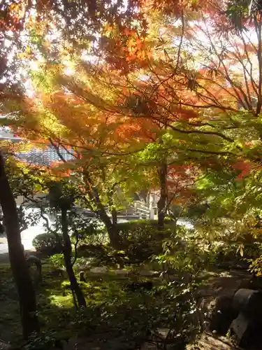 覚園寺の庭園