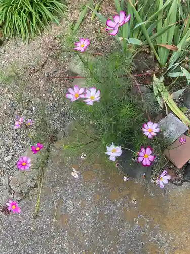 上国寺(神奈川県)