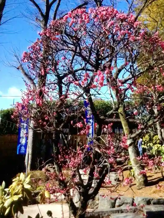 中野沼袋氷川神社(東京都)