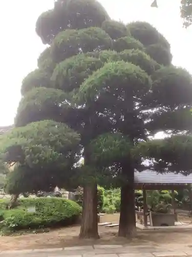 善勝寺の庭園