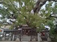 三島神社の建物その他