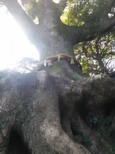 光岡八幡宮の建物その他