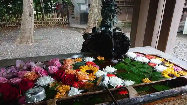 世田谷八幡宮(東京都)