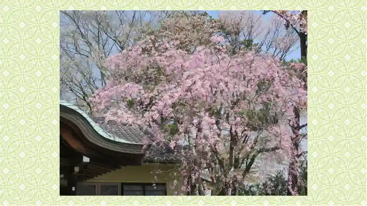 宮城縣護國神社(宮城県)