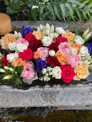 本郷氷川神社(東京都)