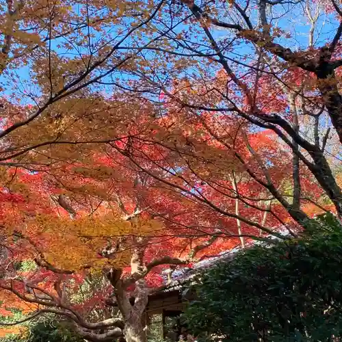 厭離庵(京都府)