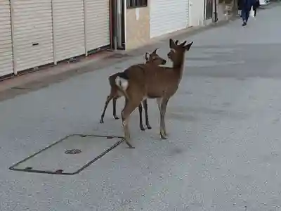 厳島神社(広島県)