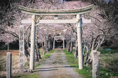 住吉神社(宮城県)