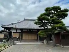 善導寺の本殿