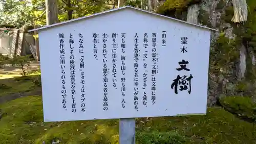 智恩寺(京都府)