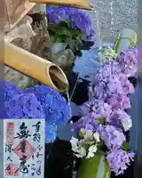 深大寺の御朱印