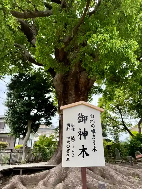 日々神社(神奈川県)