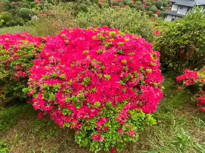 塩船観音寺(東京都)