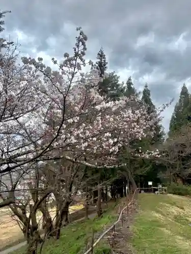 蚊里田八幡宮の{uncategorized: "未分類", other: "その他", undefined: "問題あり", building: "その他建物", grave: "お墓", sacred_gate: "鳥居", guardian: "狛犬", statue: "像", buddha: "仏像", history: "歴史", nature: "自然", garden: "庭園", animal: "動物", pagoda: "塔", temizu: "手水舎", mountain_gate: "山門・神門", sanctuary: "本殿・本堂", subordinate: "末社・摂社", art: "芸術", scenery: "景色", jizo: "地蔵", ema: "絵馬", goshuin: "御朱印", omikuji: "おみくじ", items: "授与品その他", amulet: "お守り", goshuincho: "御朱印帳", eats: "食事", festival: "お祭り", votive_dance: "神楽", shichigosan: "七五三参", wedding: "結婚式", experience: "体験その他", initially: "初詣", around: "周辺", anti_infection: "感染症対策"}