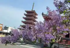 津観音(三重県)