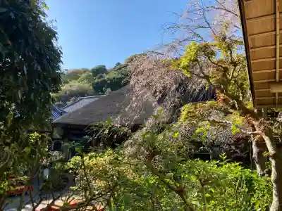 円覚寺の{uncategorized: "未分類", other: "その他", undefined: "問題あり", building: "その他建物", grave: "お墓", sacred_gate: "鳥居", guardian: "狛犬", statue: "像", buddha: "仏像", history: "歴史", nature: "自然", garden: "庭園", animal: "動物", pagoda: "塔", temizu: "手水舎", mountain_gate: "山門・神門", sanctuary: "本殿・本堂", subordinate: "末社・摂社", art: "芸術", scenery: "景色", jizo: "地蔵", ema: "絵馬", goshuin: "御朱印", omikuji: "おみくじ", items: "授与品その他", amulet: "お守り", goshuincho: "御朱印帳", eats: "食事", festival: "お祭り", votive_dance: "神楽", shichigosan: "七五三参", wedding: "結婚式", experience: "体験その他", initially: "初詣", around: "周辺", anti_infection: "感染症対策"}