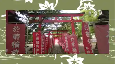 於菊稲荷神社(群馬県)