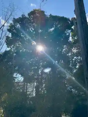 蛭子島神社(京都府)