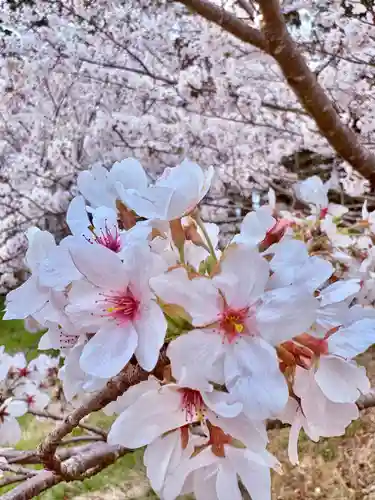 井伊谷宮(静岡県)
