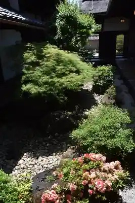 観智院（東寺子院）の庭園