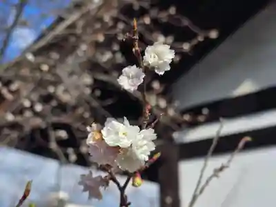 元興寺(奈良県)